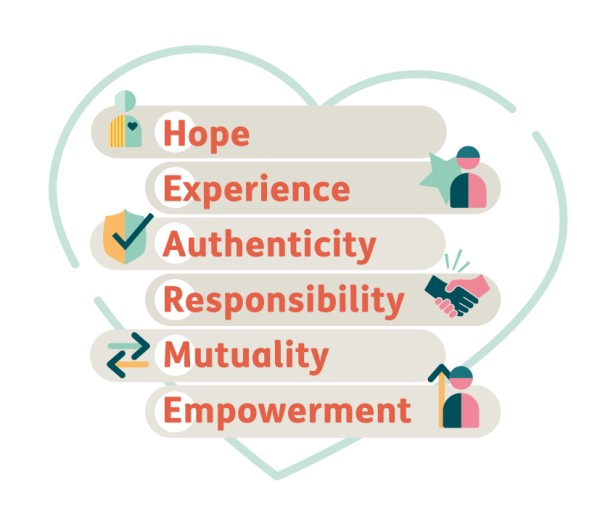 Diagram outlining peer support values